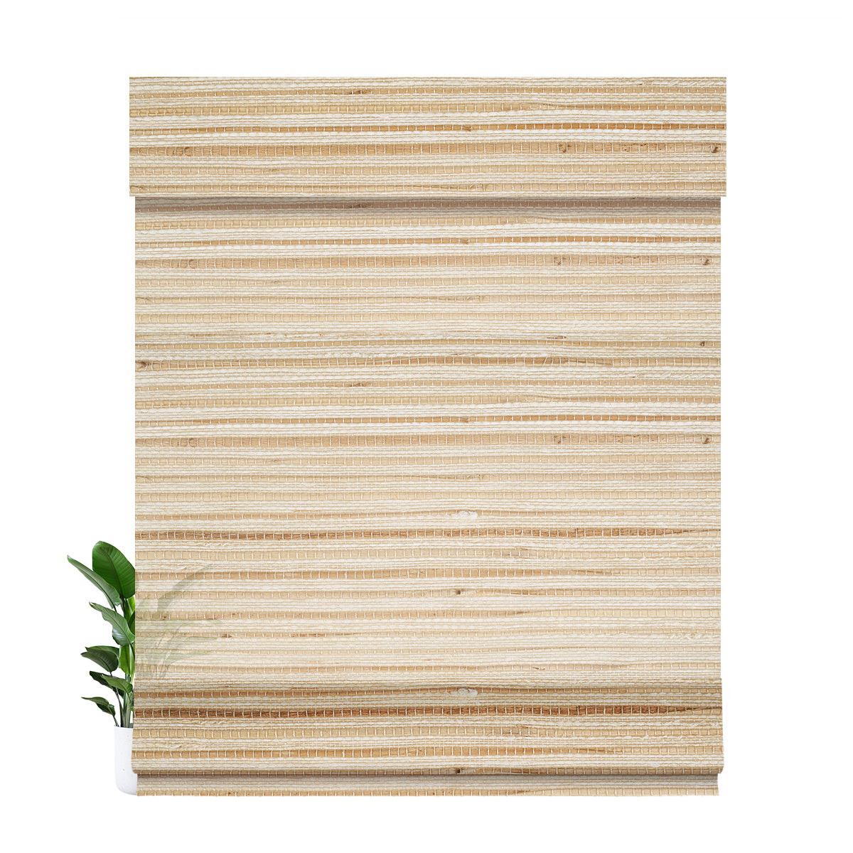 LM4102-Pale Apricot