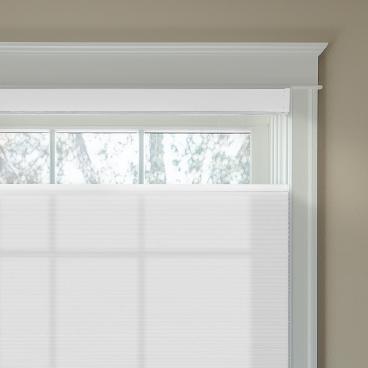 Sulugood Top-Down Bottom-Up Light Filtering Same Color With Casing Cellular Shade