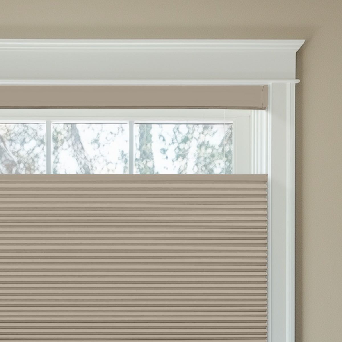 Sulugood Top-Down Bottom-Up Same Color With Casing Cellular Shade installed in a window for energy efficiency.