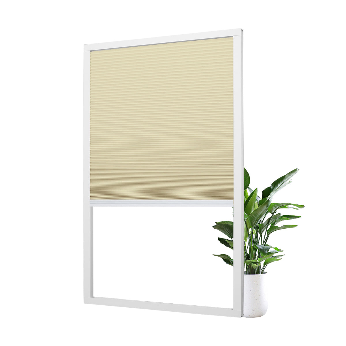 B06-Beige