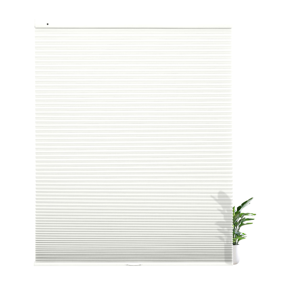 38WXZ001-White