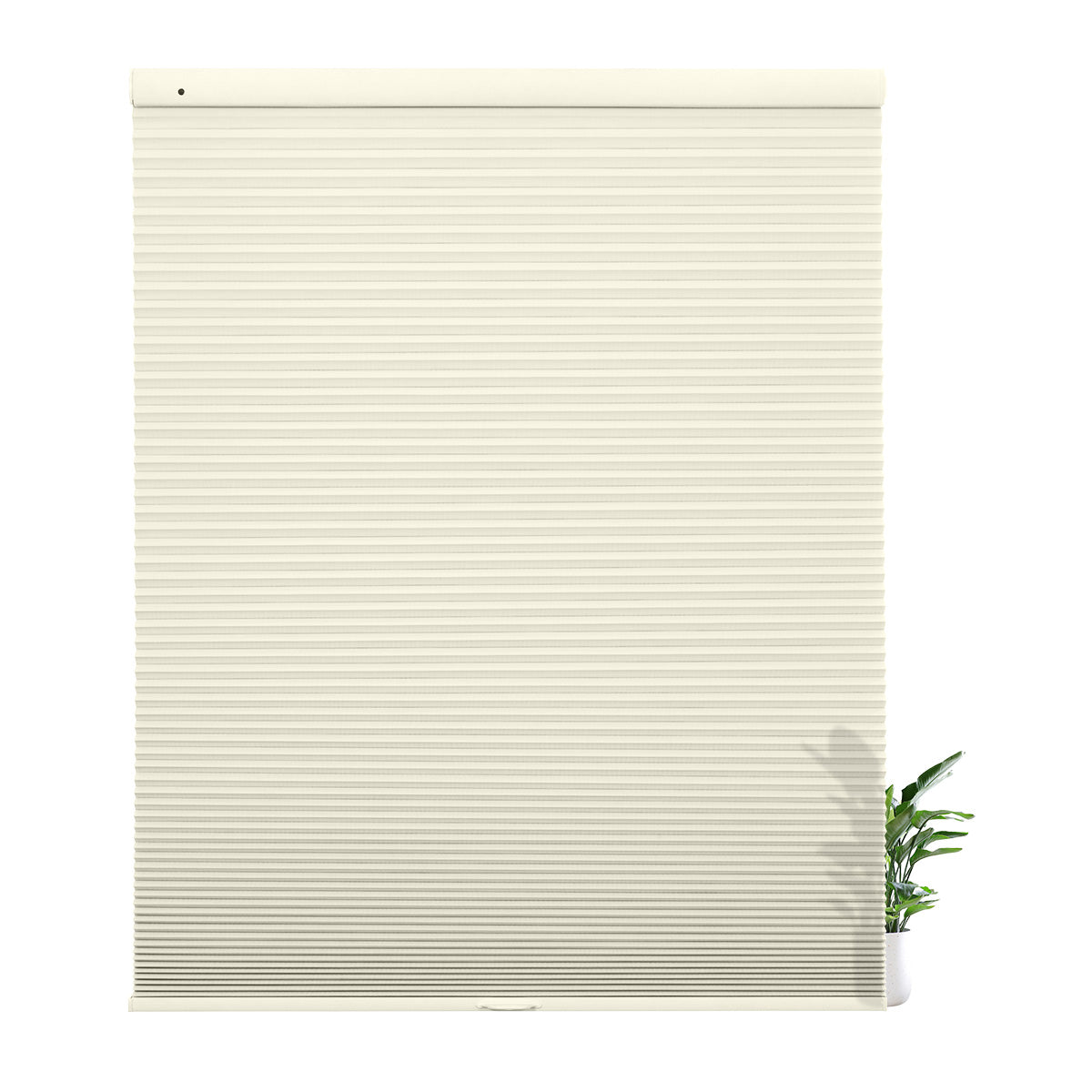 38WXZ008-Beige