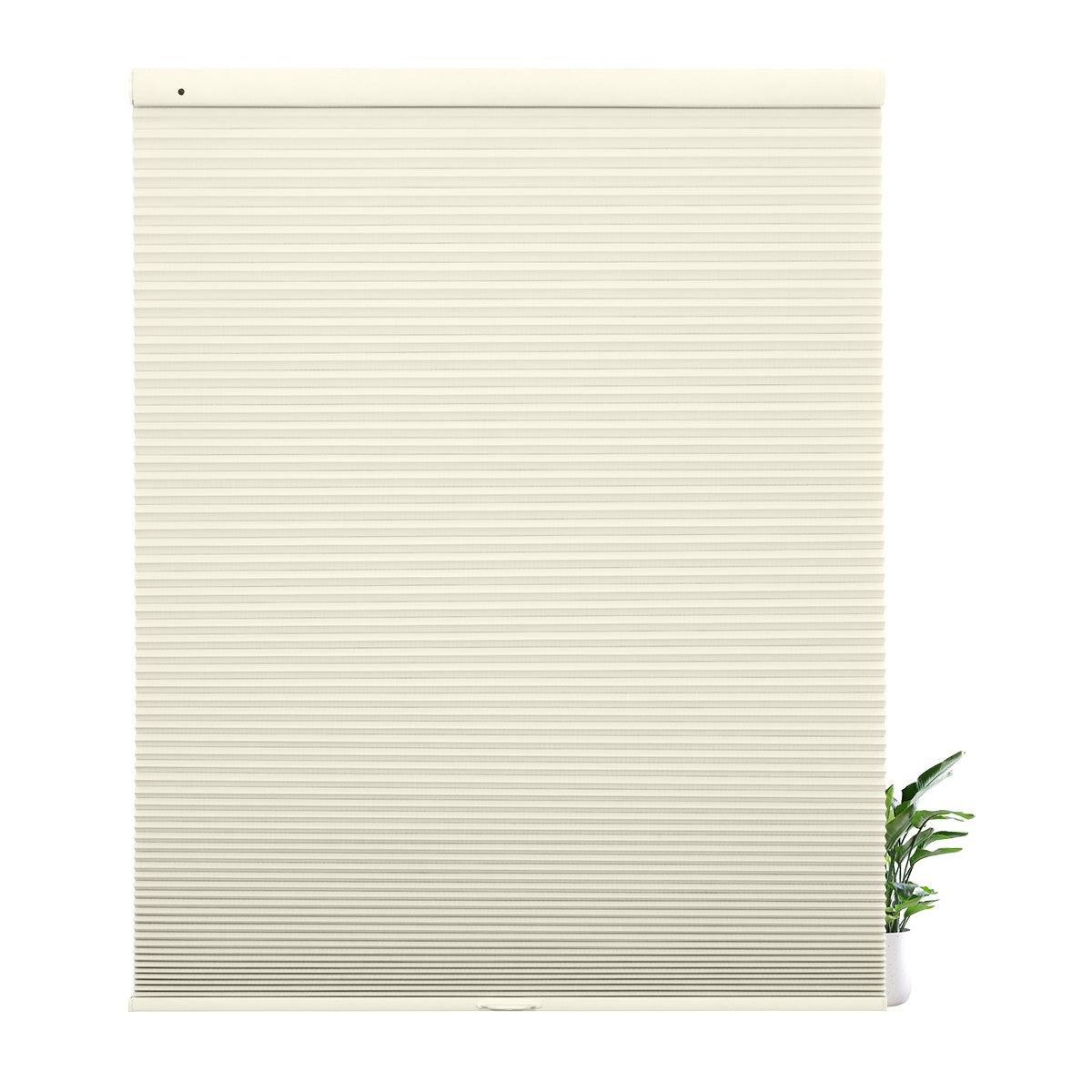 38WXZB008-Beige