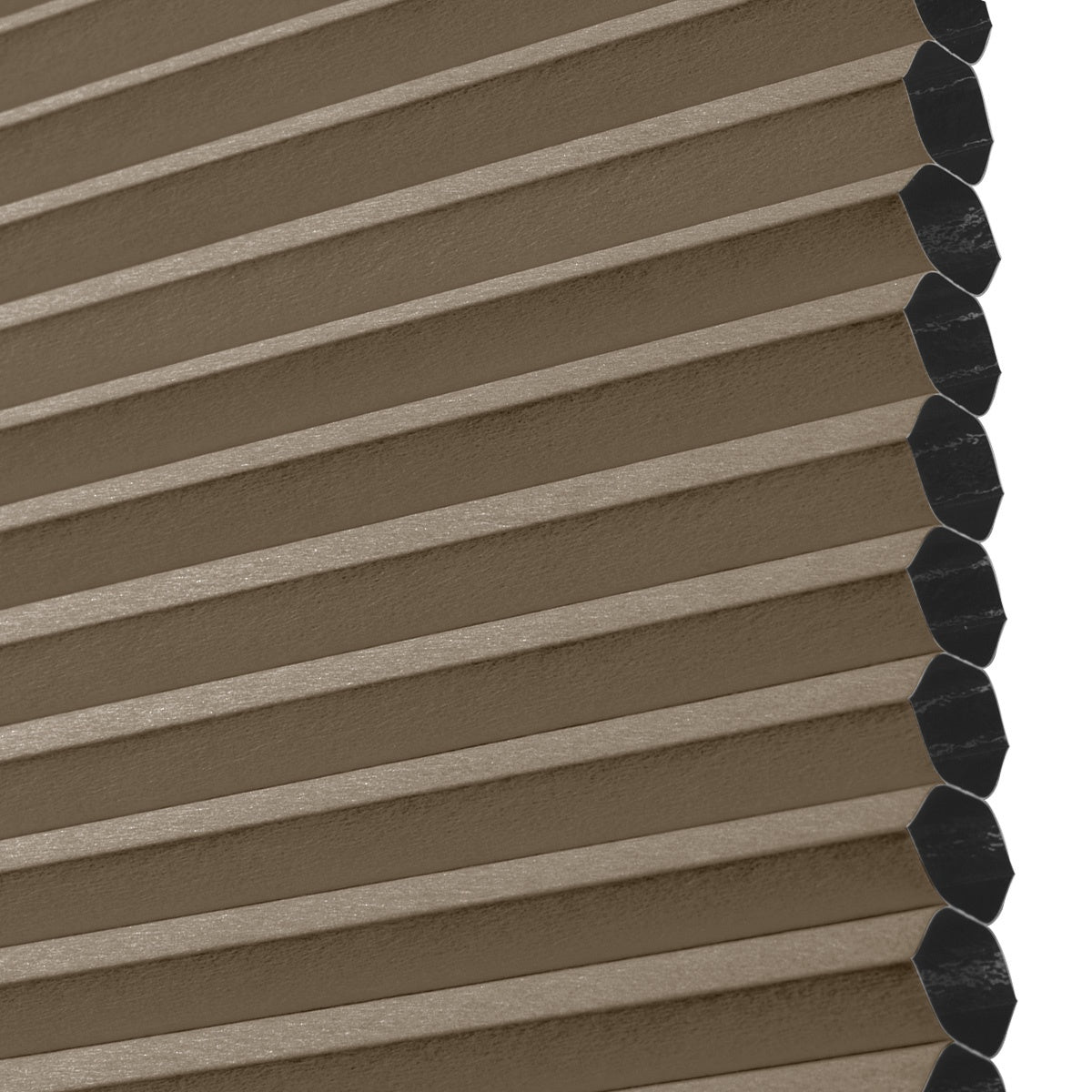 38B08-Brown