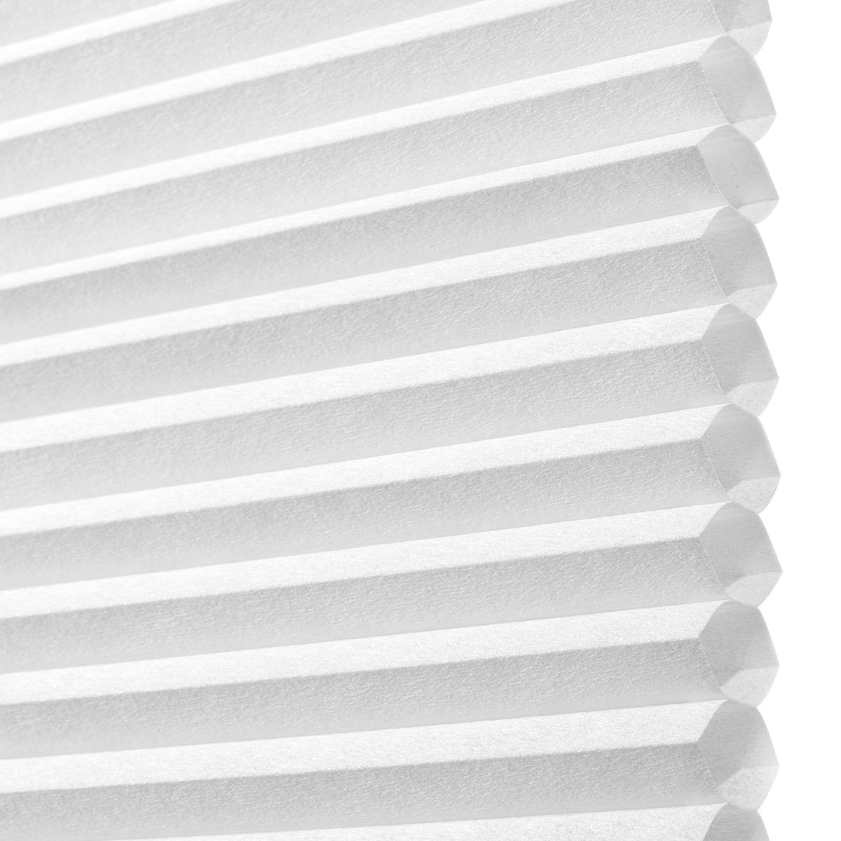 38L01-White