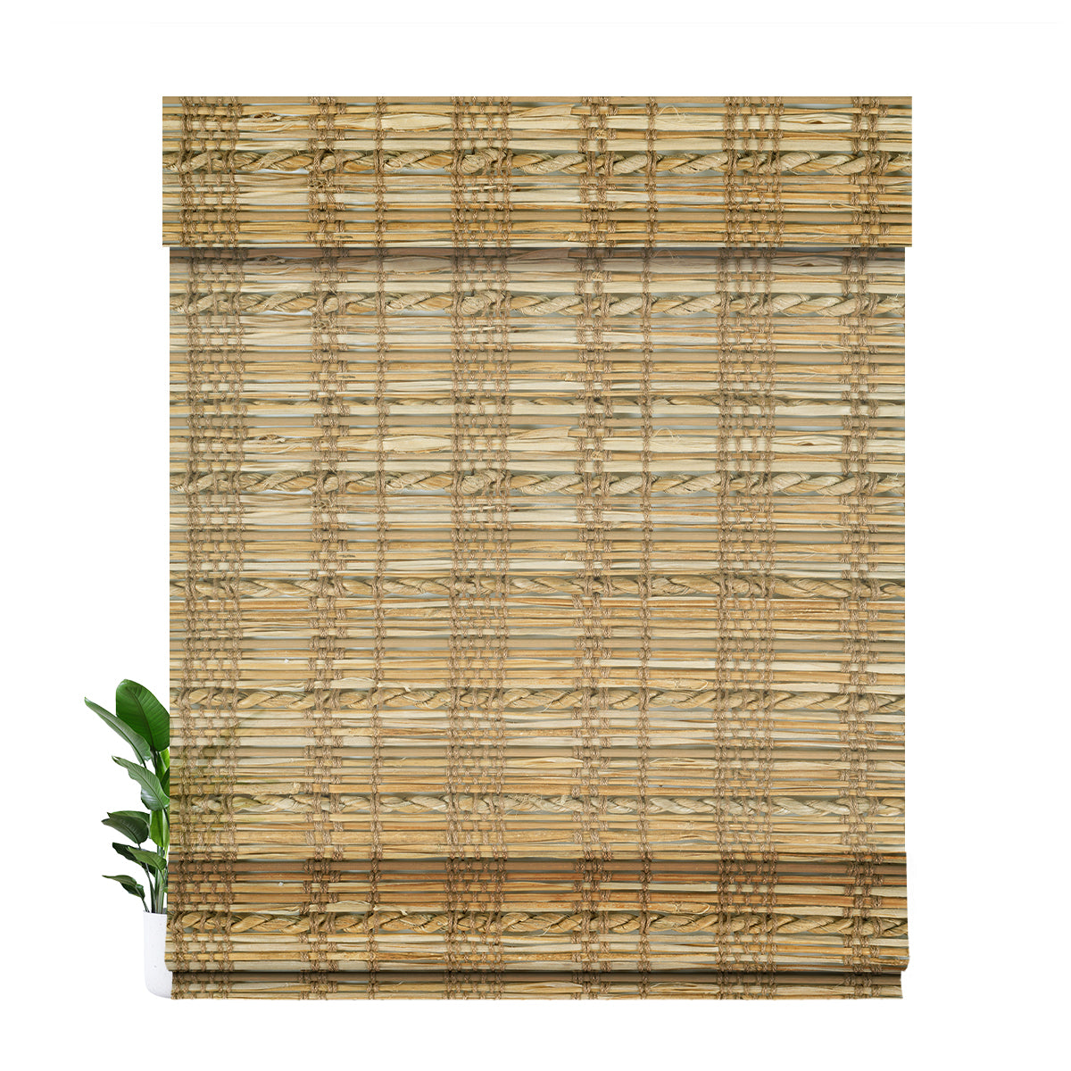 LM4141-Golden Brown