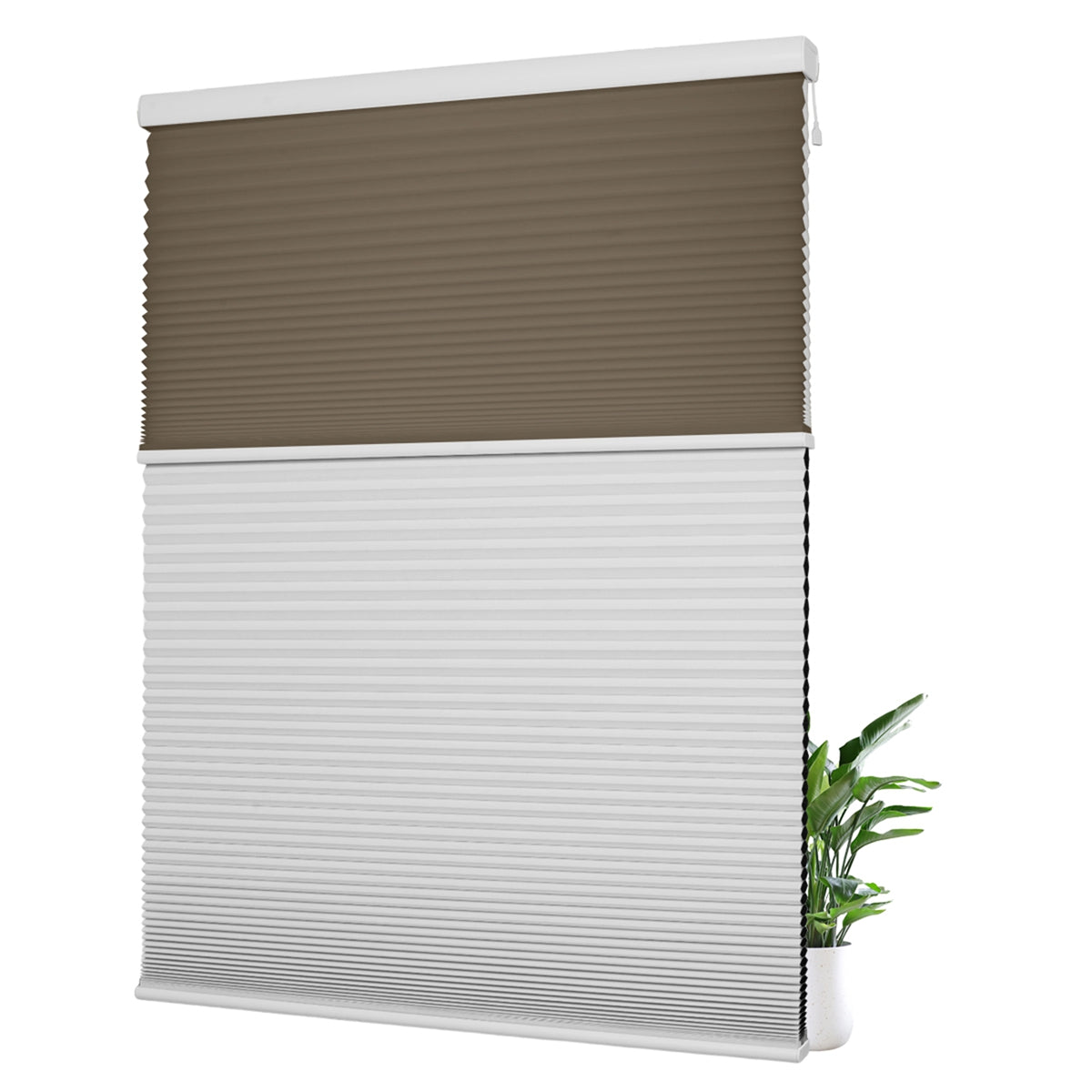 Light Filtering Brown+Blackout White