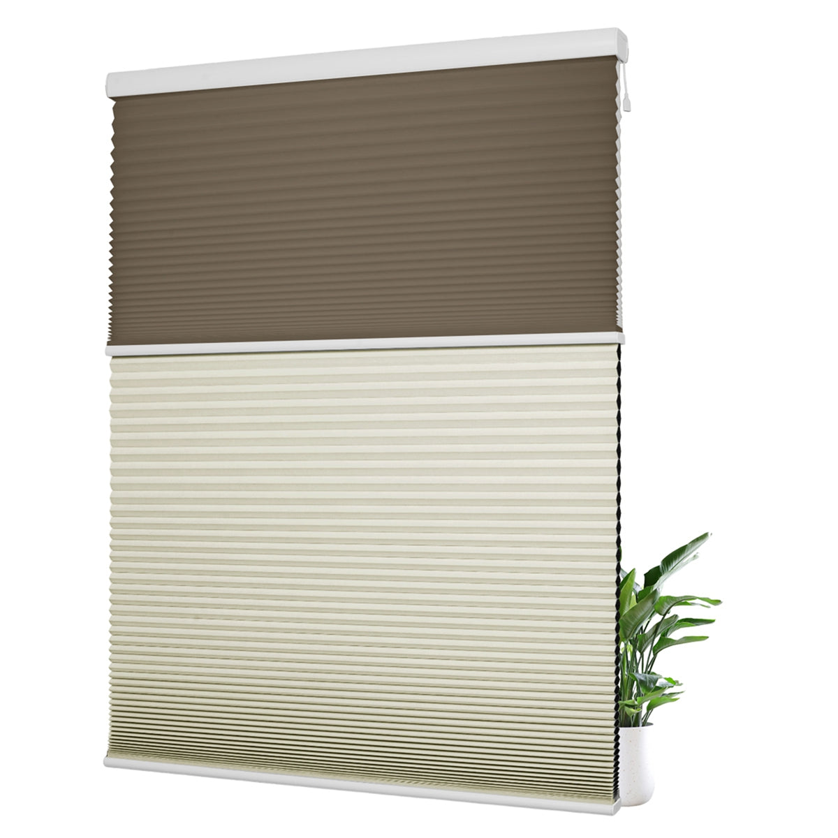 Light Filtering Brown+Blackout Beige