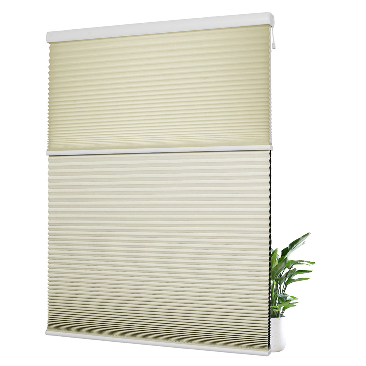 Light Filtering Beige+Blackout Beige