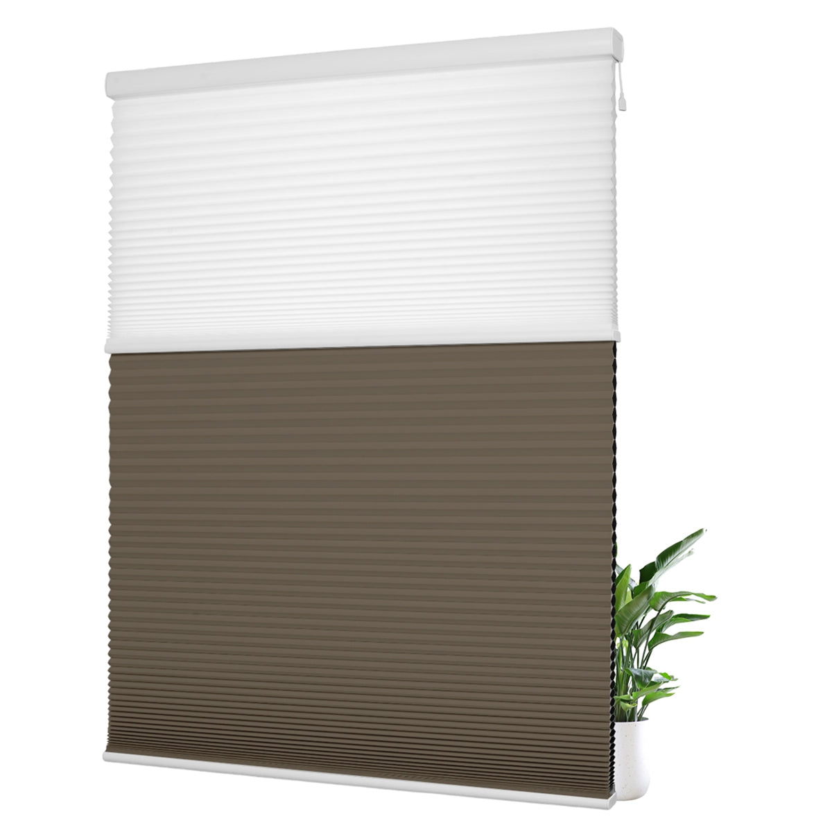 Light Filtering White+Blackout Brown