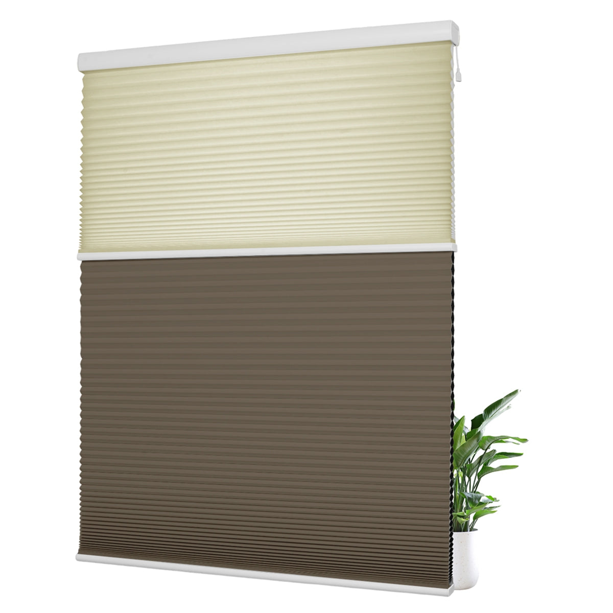 Light Filtering Beige+Blackout Brown