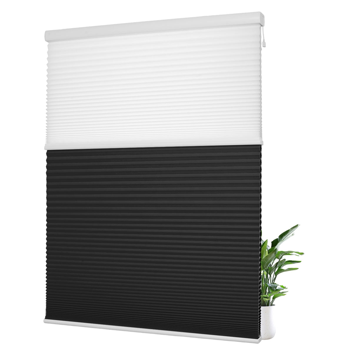 Light Filtering White+Blackout Black