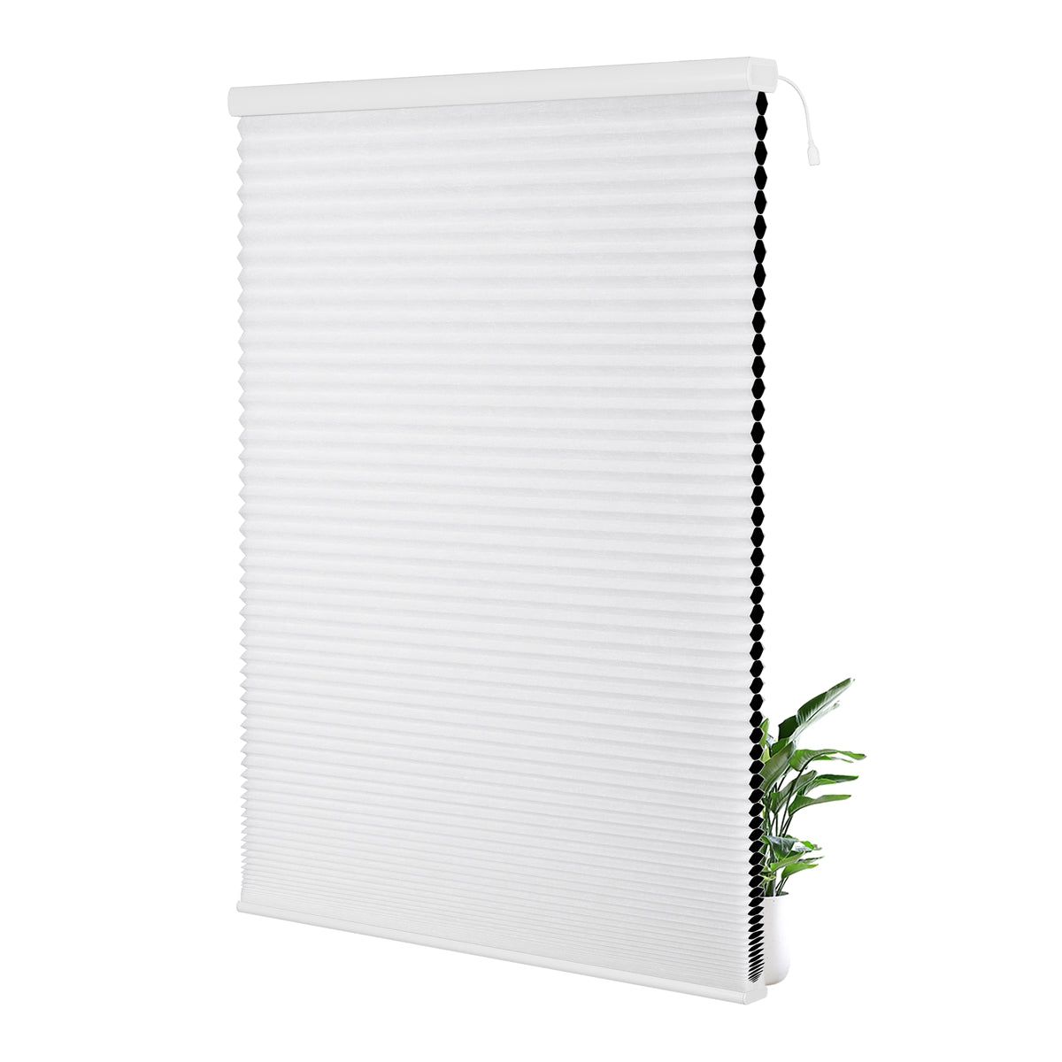 HC 38-001-White