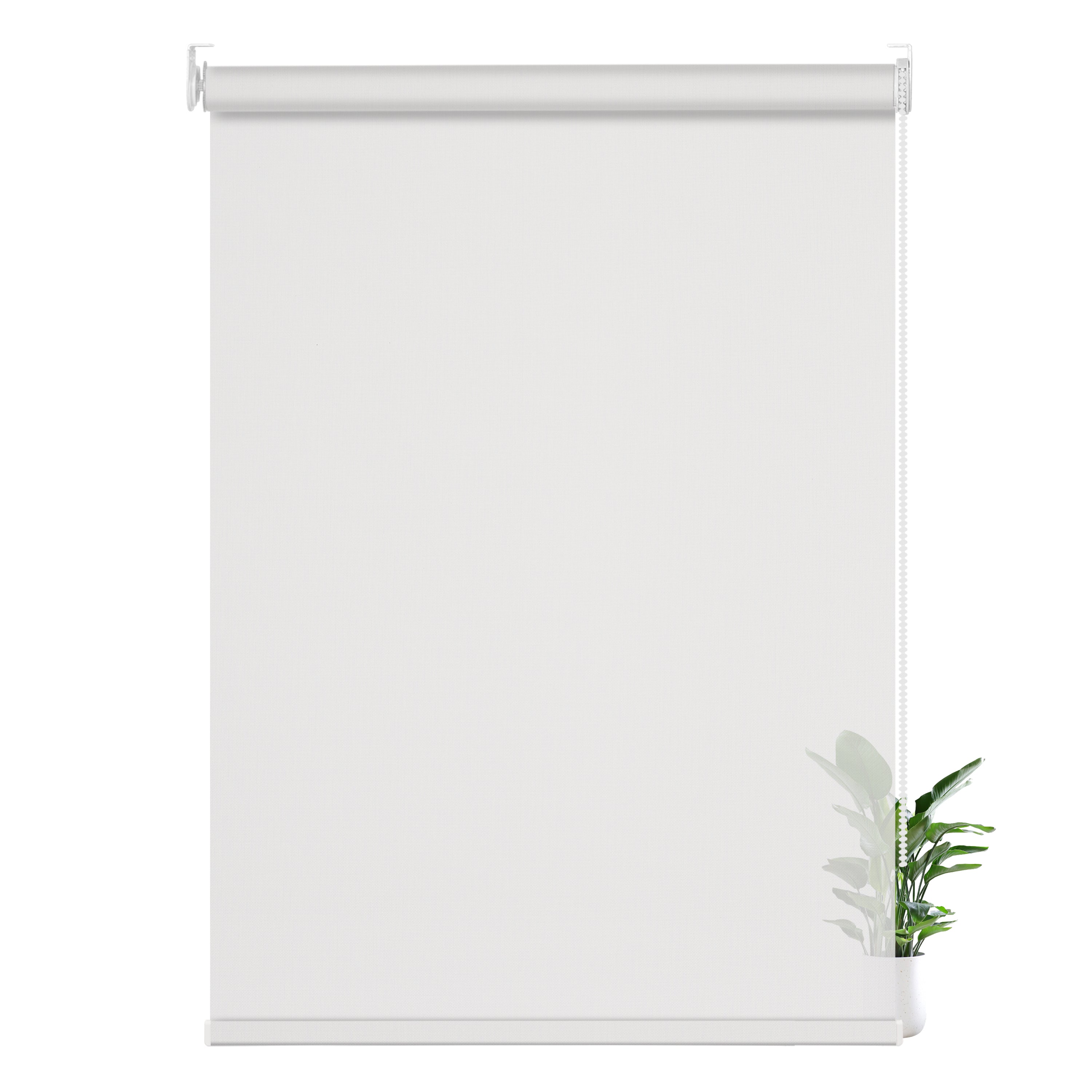 JL0101-White