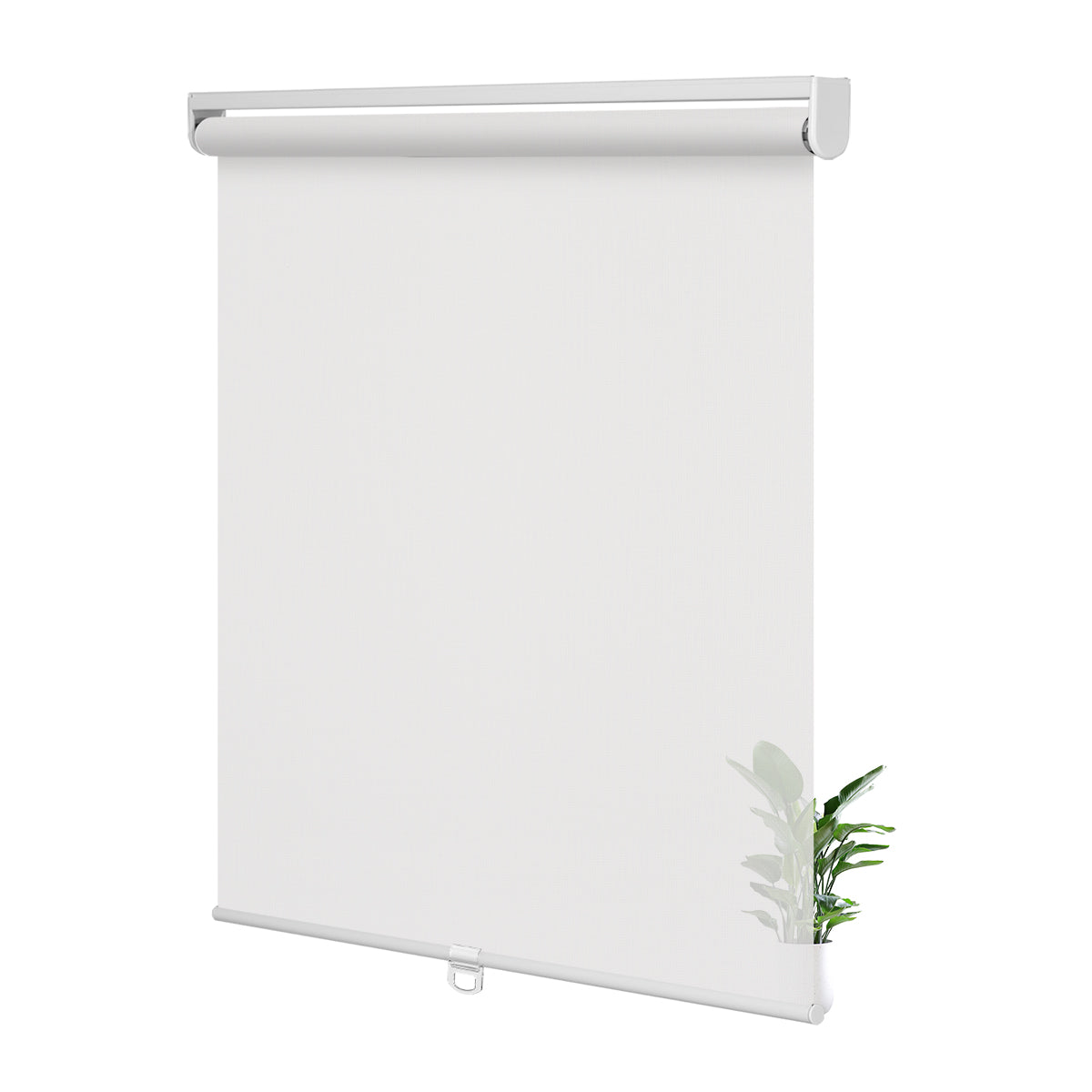 JL0101-White