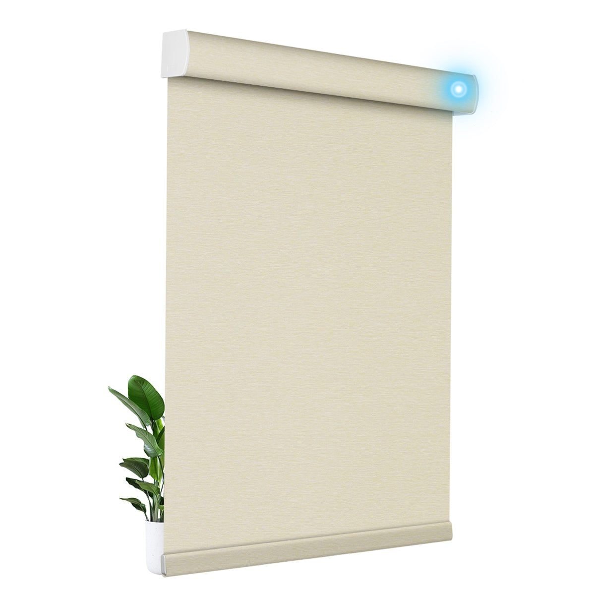 JL0706-Beige
