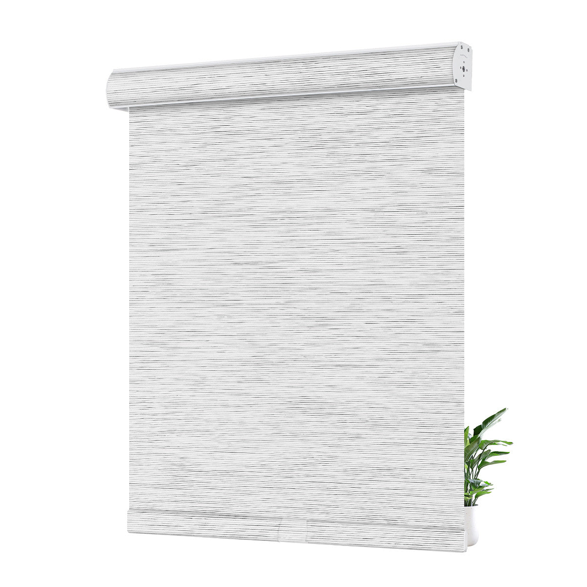 JL0717-White (Black Stripe)