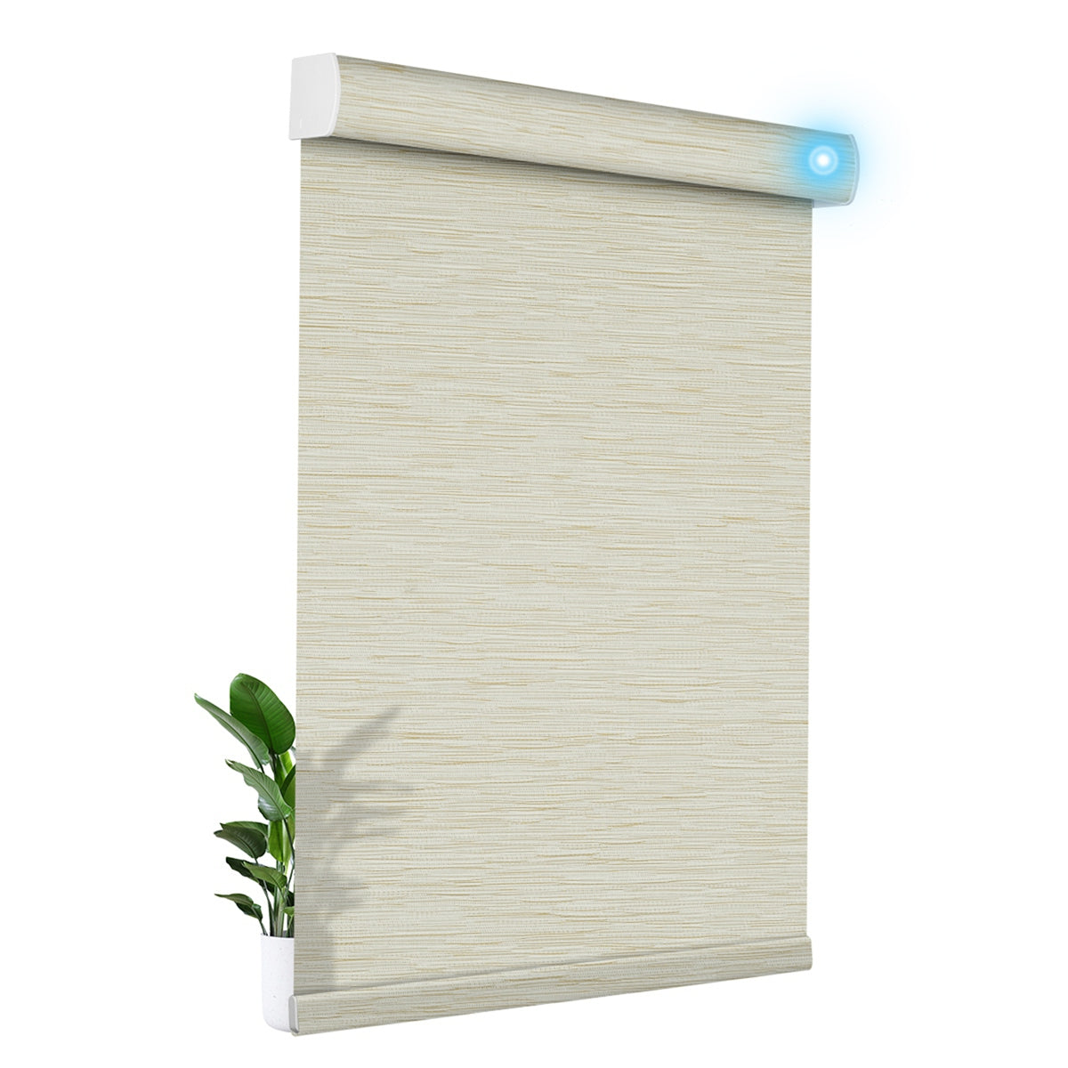JL0806-Beige