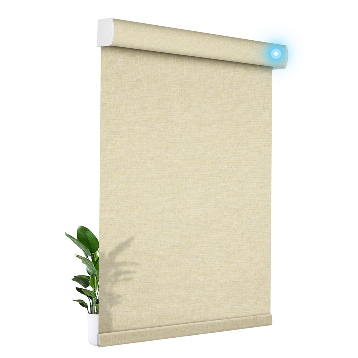 JL1006-Beige