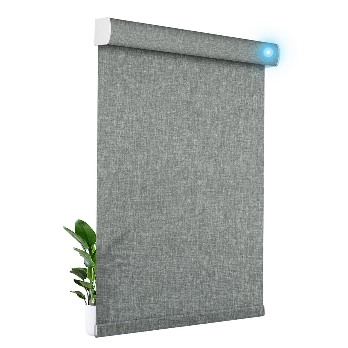 JL1009-Gray