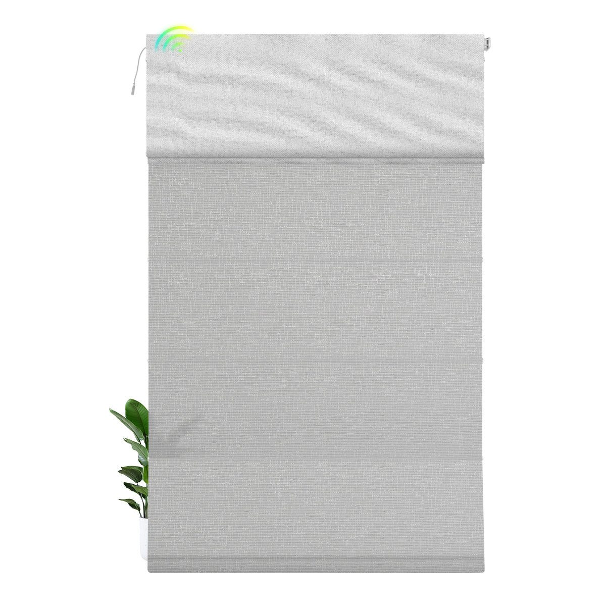 Blackout White+Light Filtering Gray