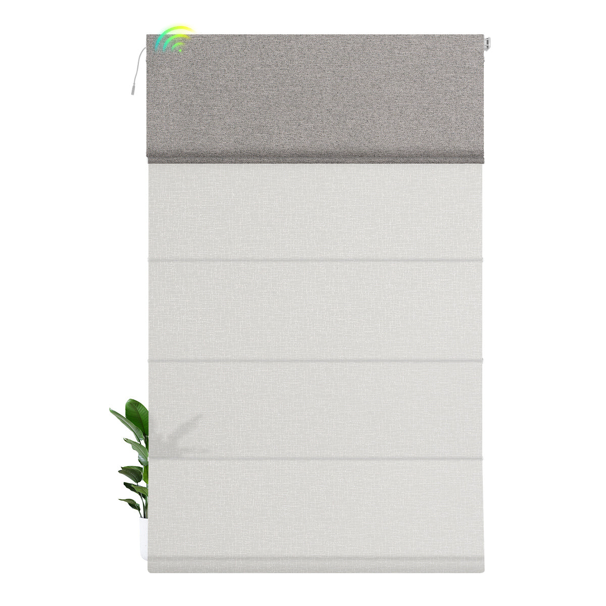 Blackout Wheat +Light Filtering White