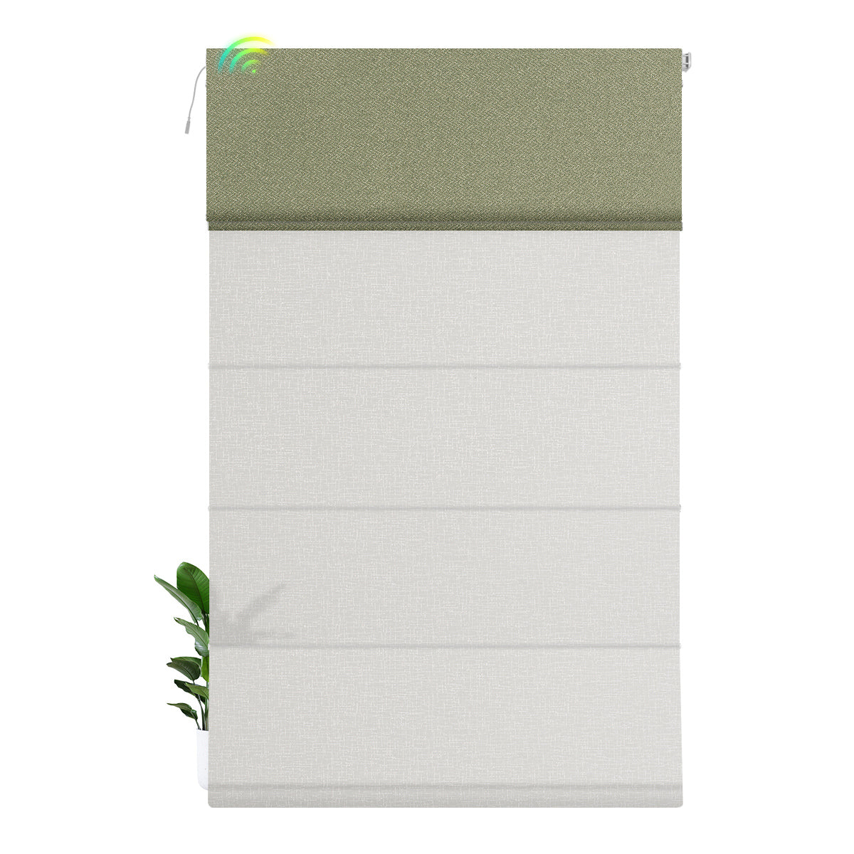 Blackout Light Green+Light Filtering White