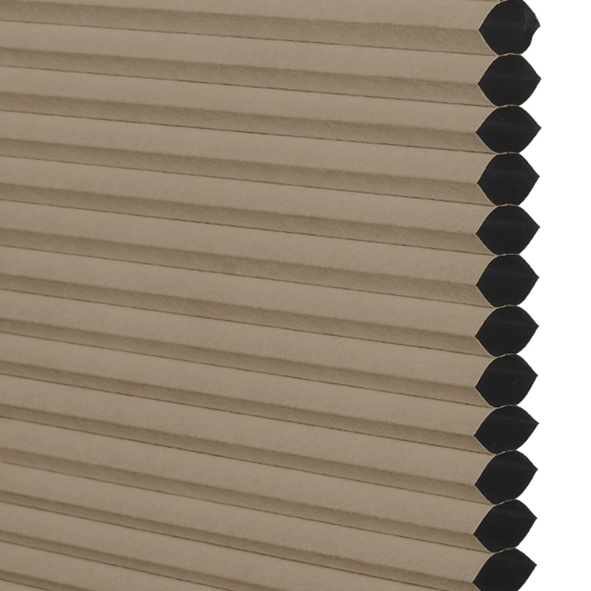 SB08-Brown