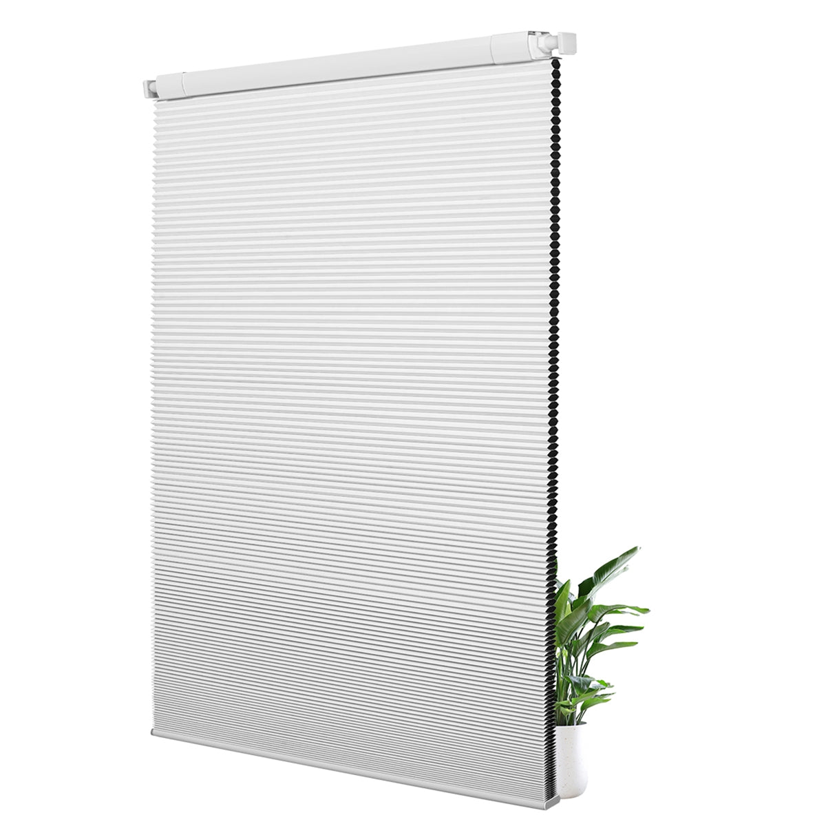 B01-White