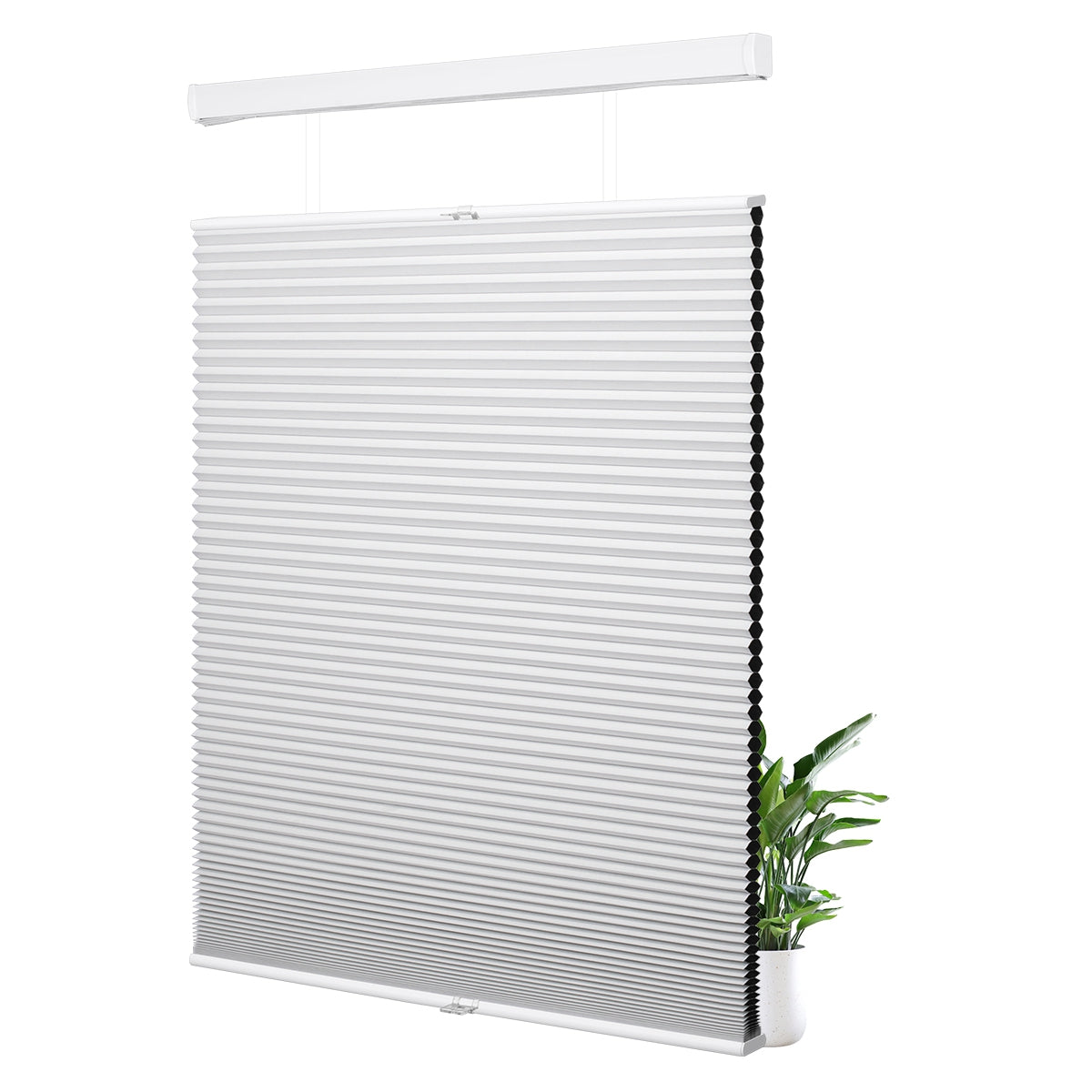 b01-White
