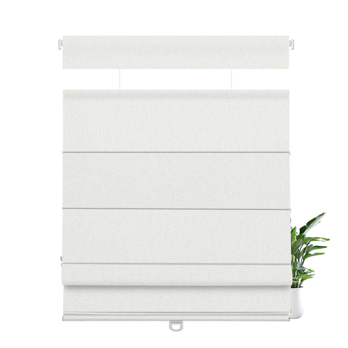 FB01-White