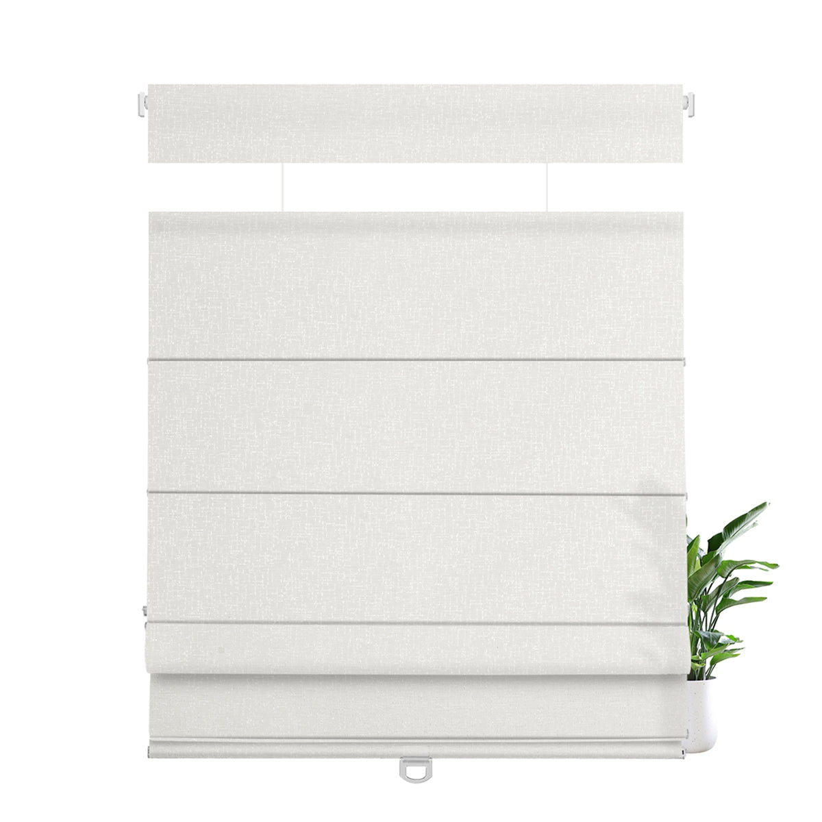 FH01-White