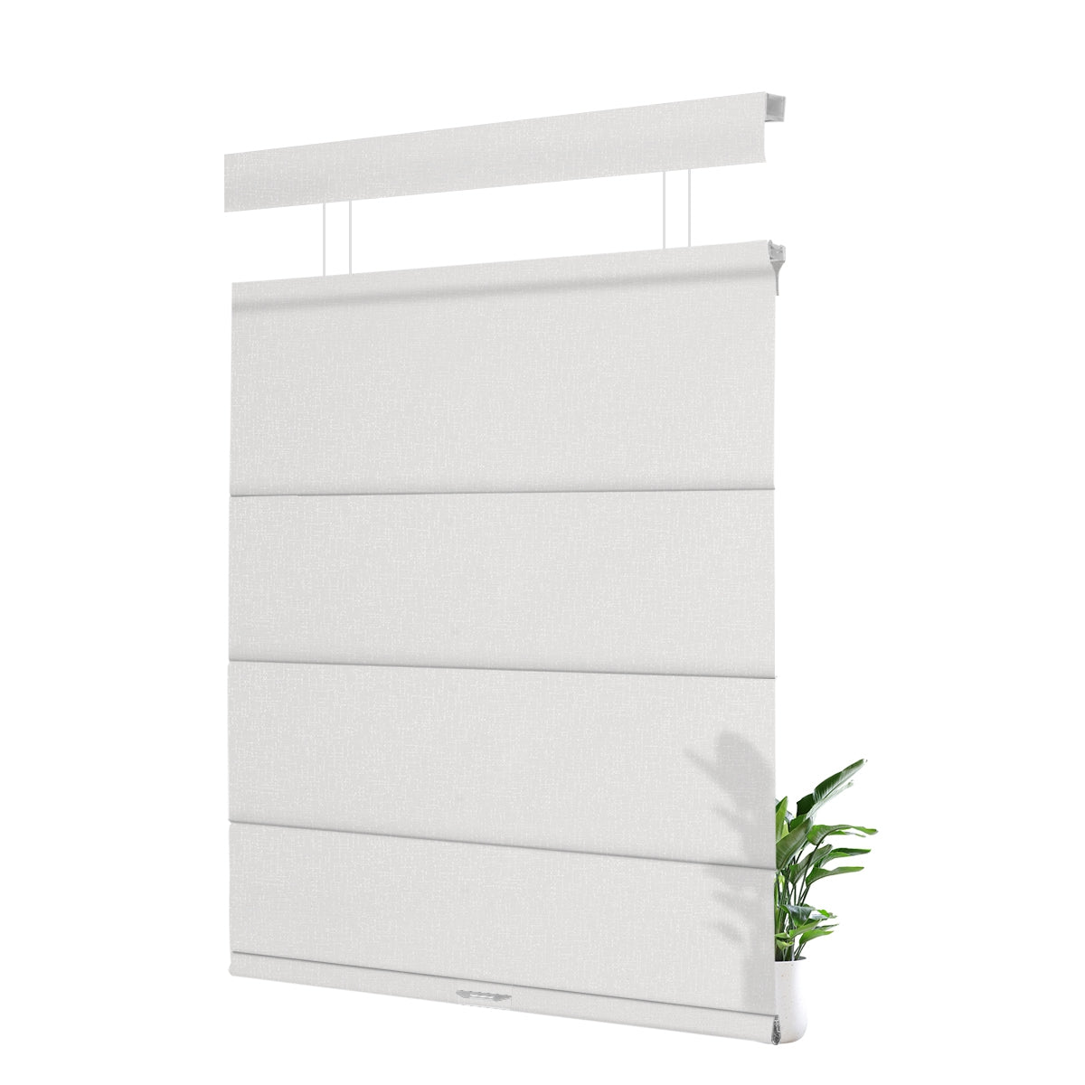 FH01-White