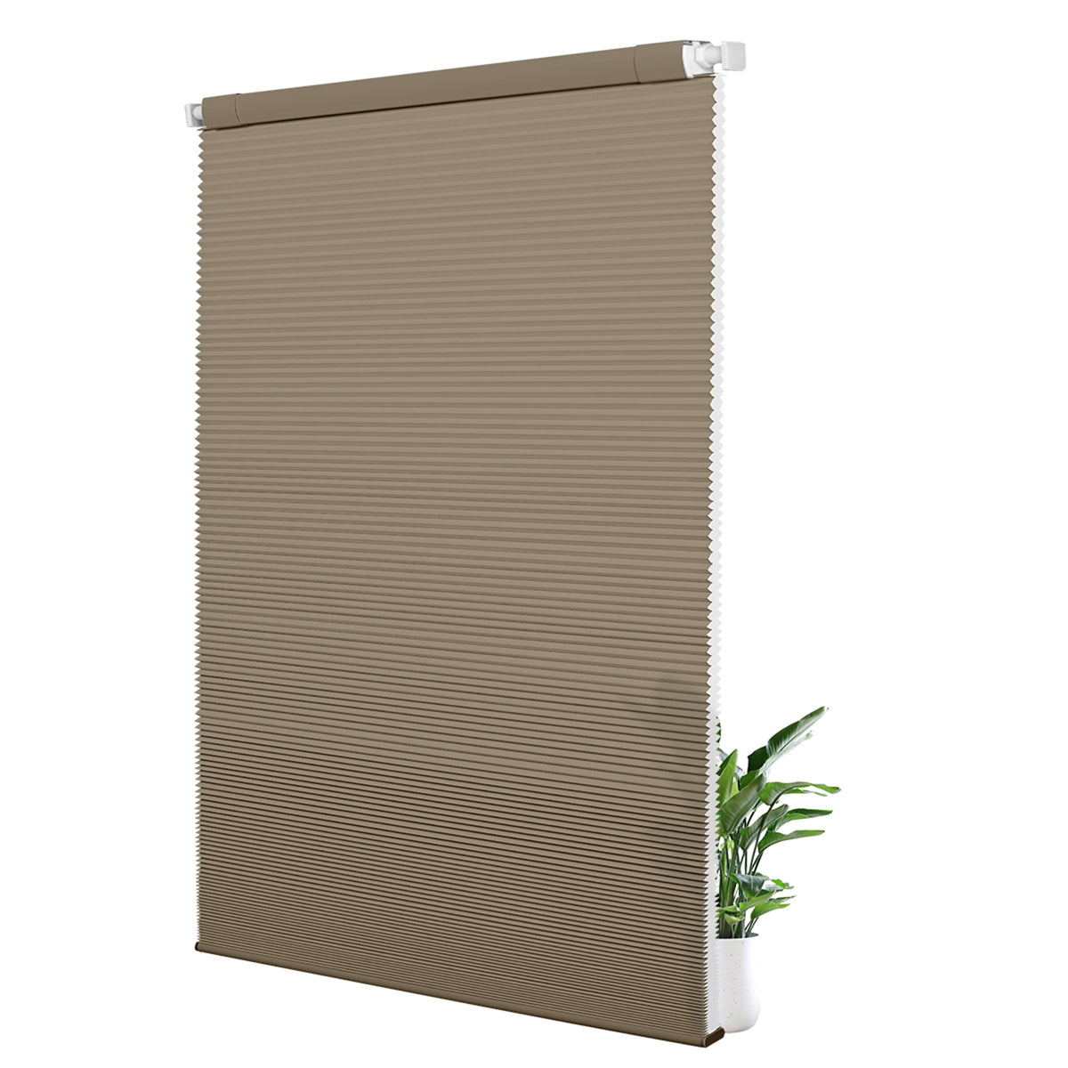 L08-Brown