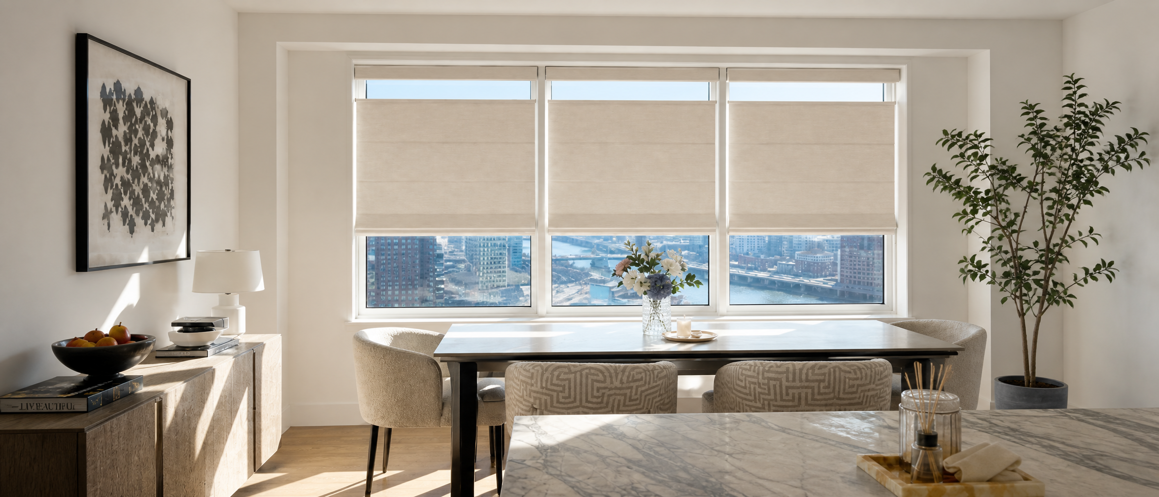 Top Down Bottom Up Roman Shades