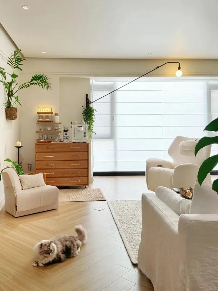 Cozy modern living room with wooden chest, white armchairs, hanging plants, and a fluffy cat on wood floor