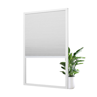 B01-White