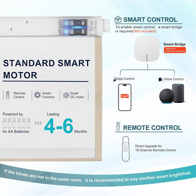 Standard Motor（38BLS）+Smart Bridge