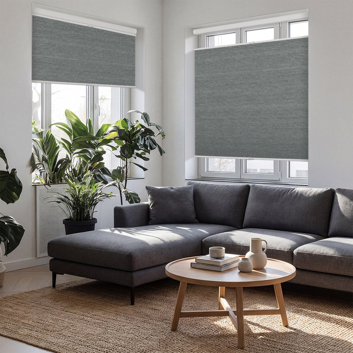 Sulugood Standard Cordless Top Down Bottom Up Jacquard Cellular Shade in a modern living room with plants
