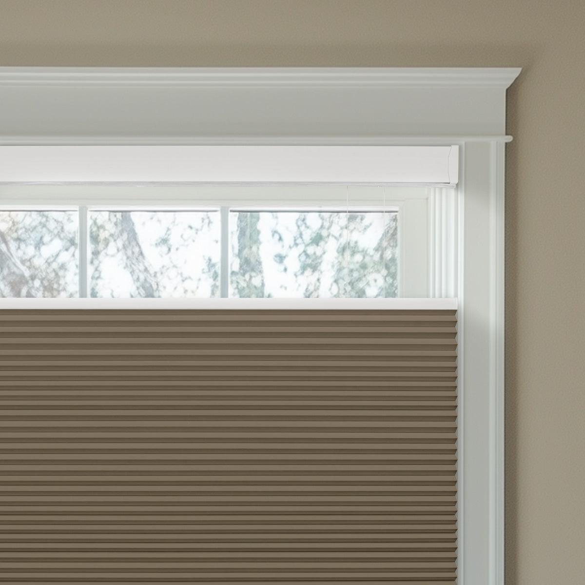 Sulugood  Top-Down Bottom-Up  Same Color With Casing Cellular Shade