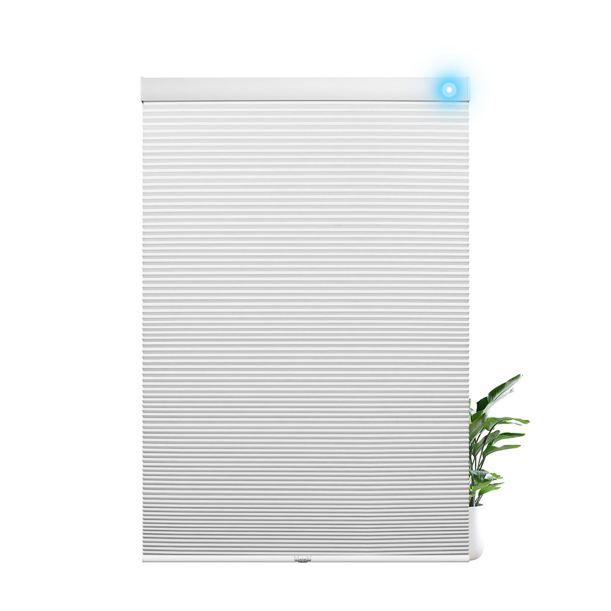 Sulugood Motorized Cordless Custom Size Blackout Light Filtering Cellular Shades