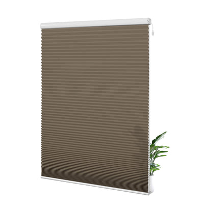 38L08-Brown