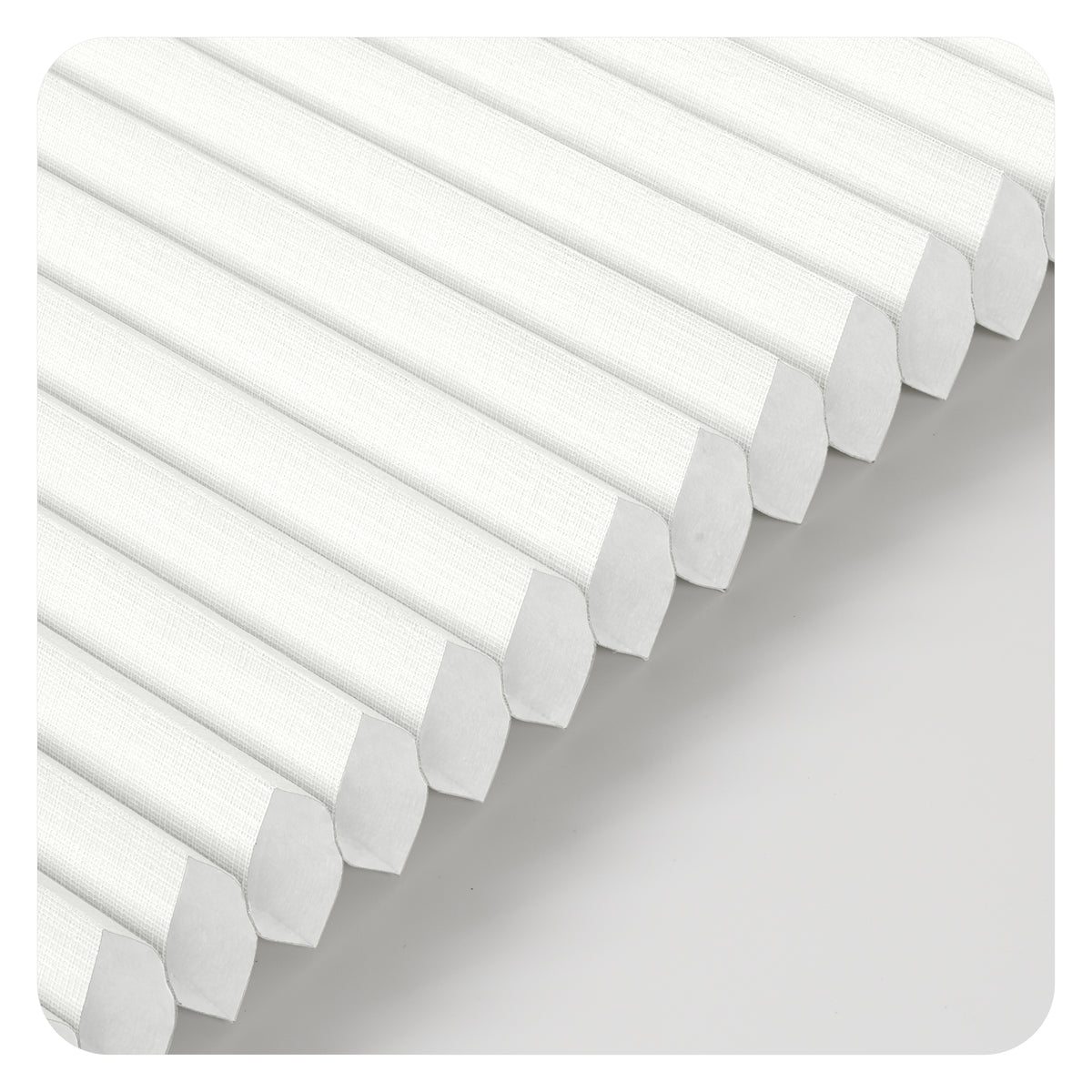 38FWL01-White