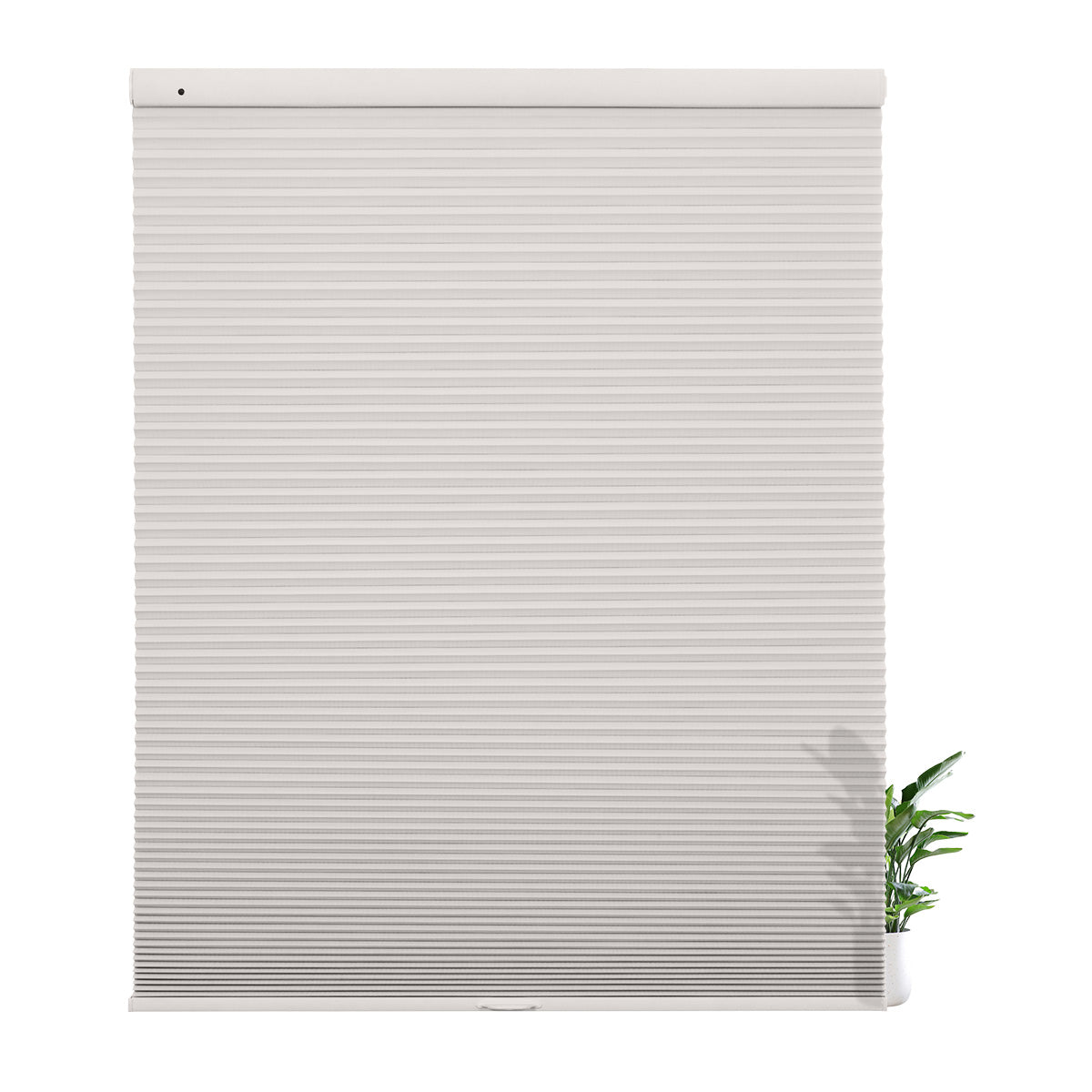 38WXZ002-Grayish White