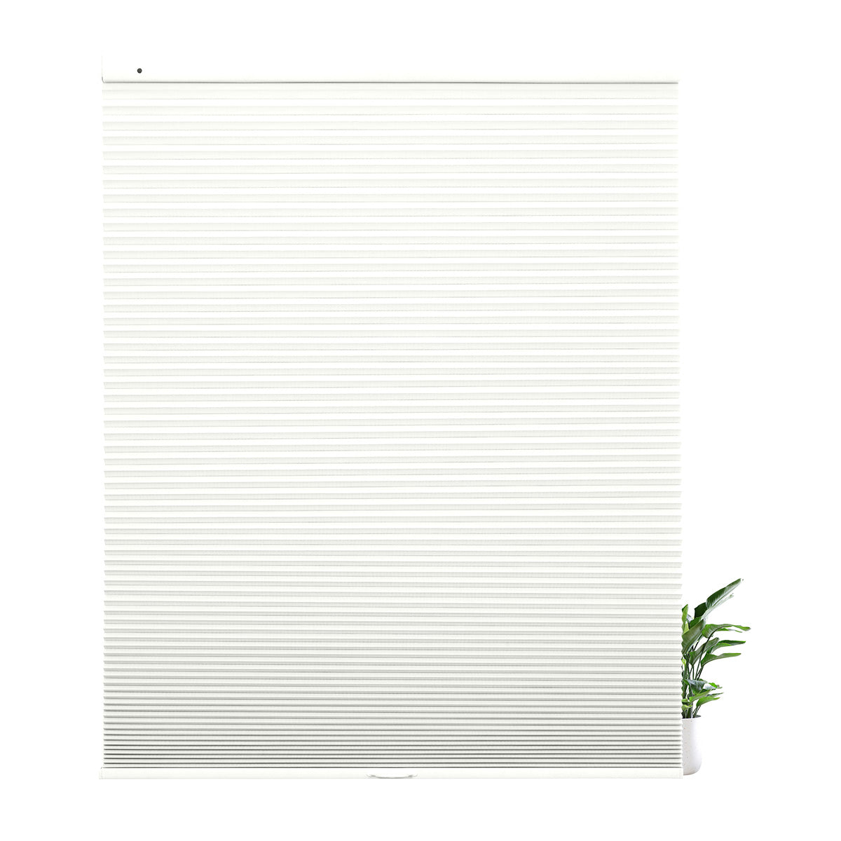 38WXZB001-White