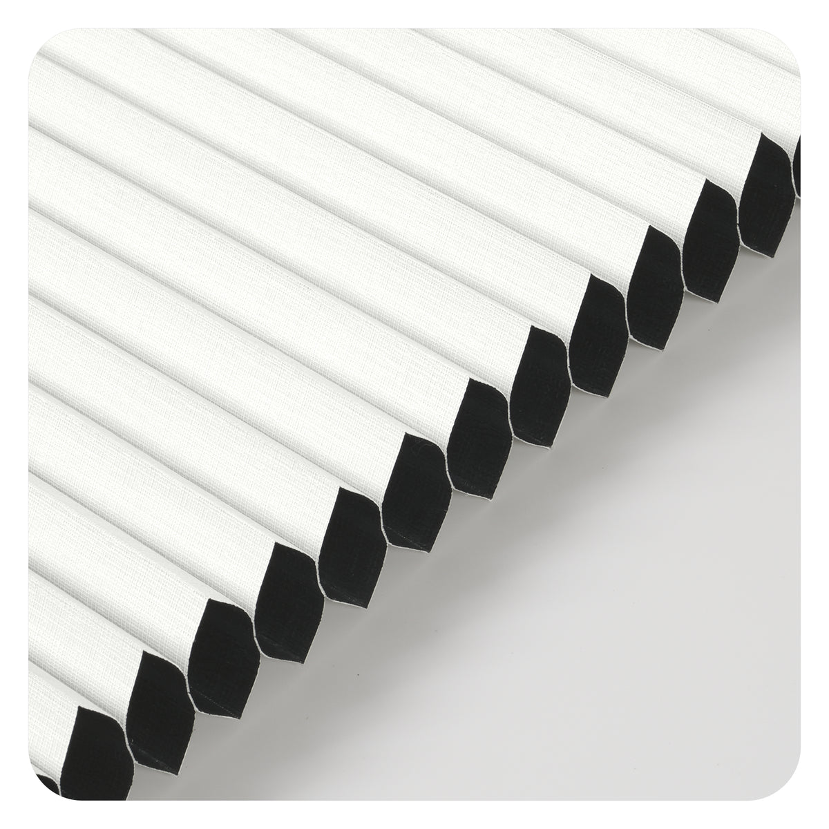 38FWB01-White