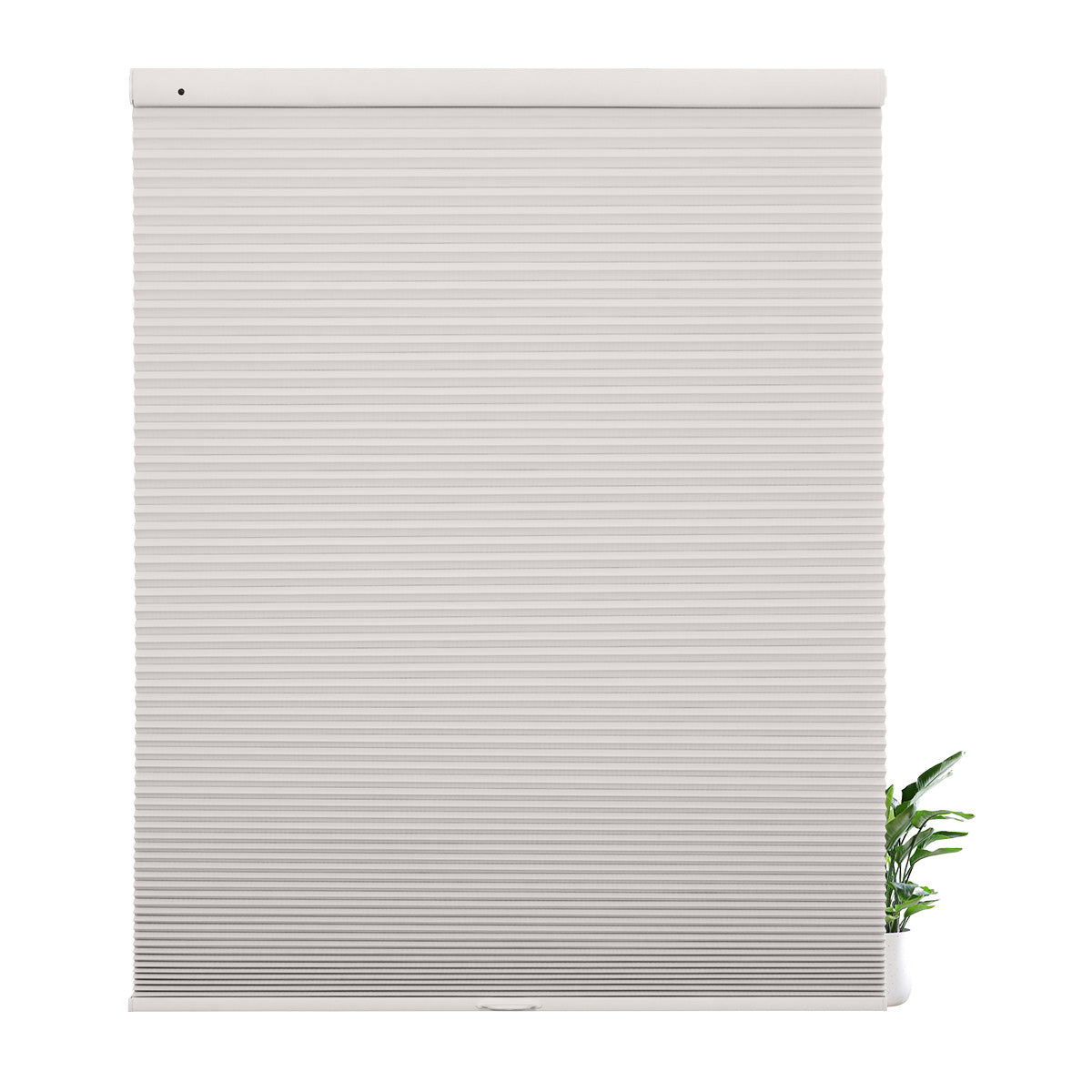 38WXZB002-Grayish White