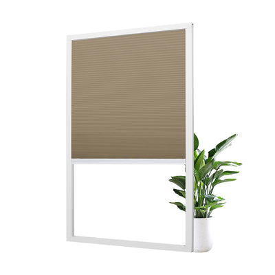 L08-Brown