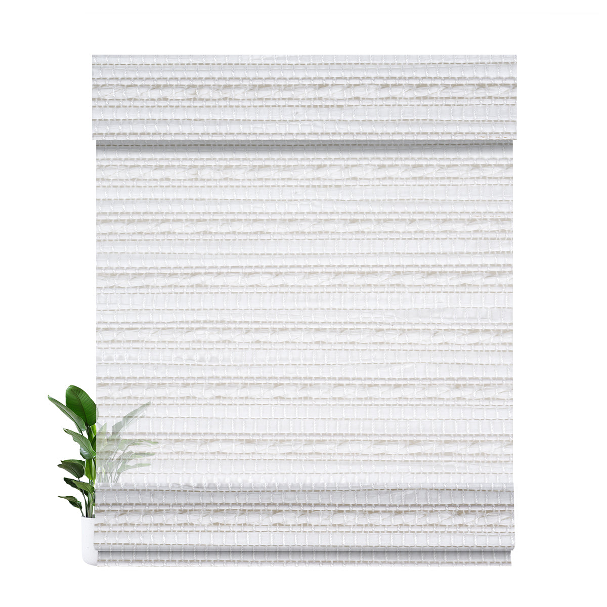 LM4101-Cream White