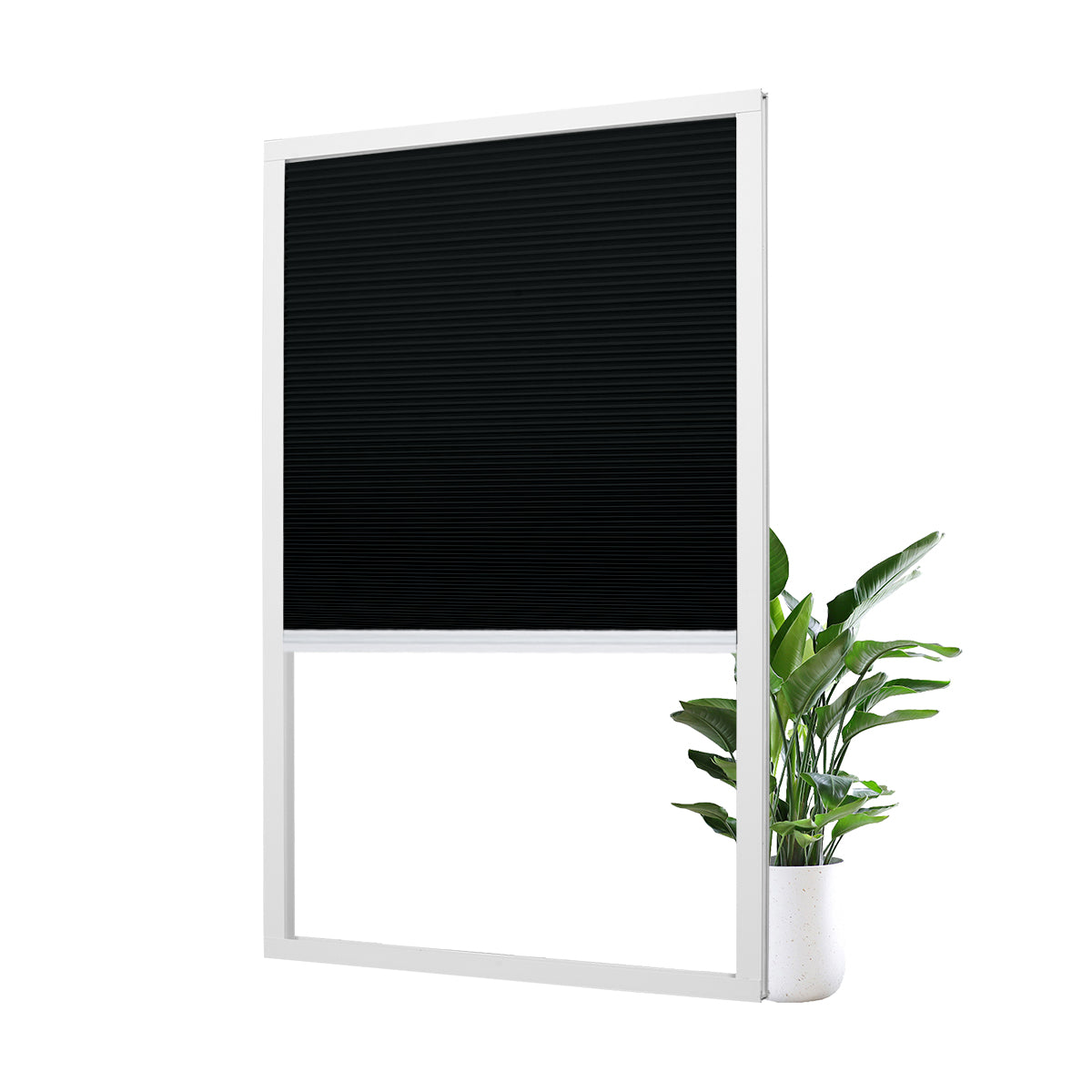 B10-Black